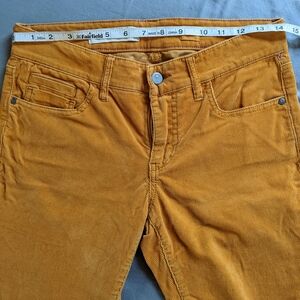 Pilcro And The Letterpress Goldenrod Yellow Corduroy Pants